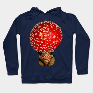 Fly Agaric Mushroom Hoodie